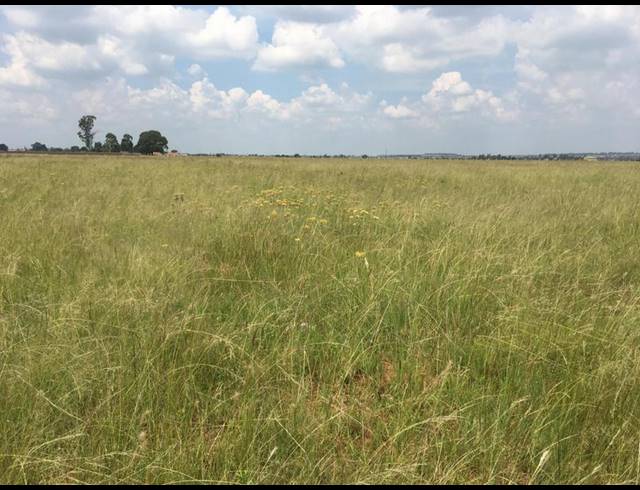 LAND FOR SALE IN WITHOK ESTATES